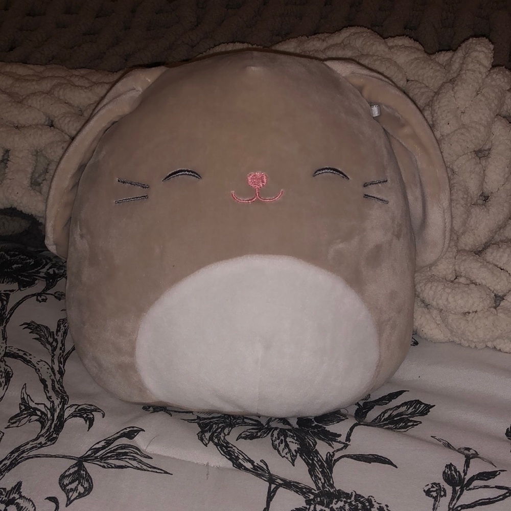 Squishmallow ✨ Bunny 🐰